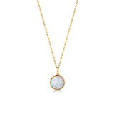 14K Gold Mother of Pearl Abalone Turquoise Black Onyx Opal Coin Pendant Necklace