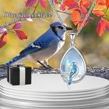 Sterling Silver Moonstone  Blue Jay  Cardinal Pendant Necklace